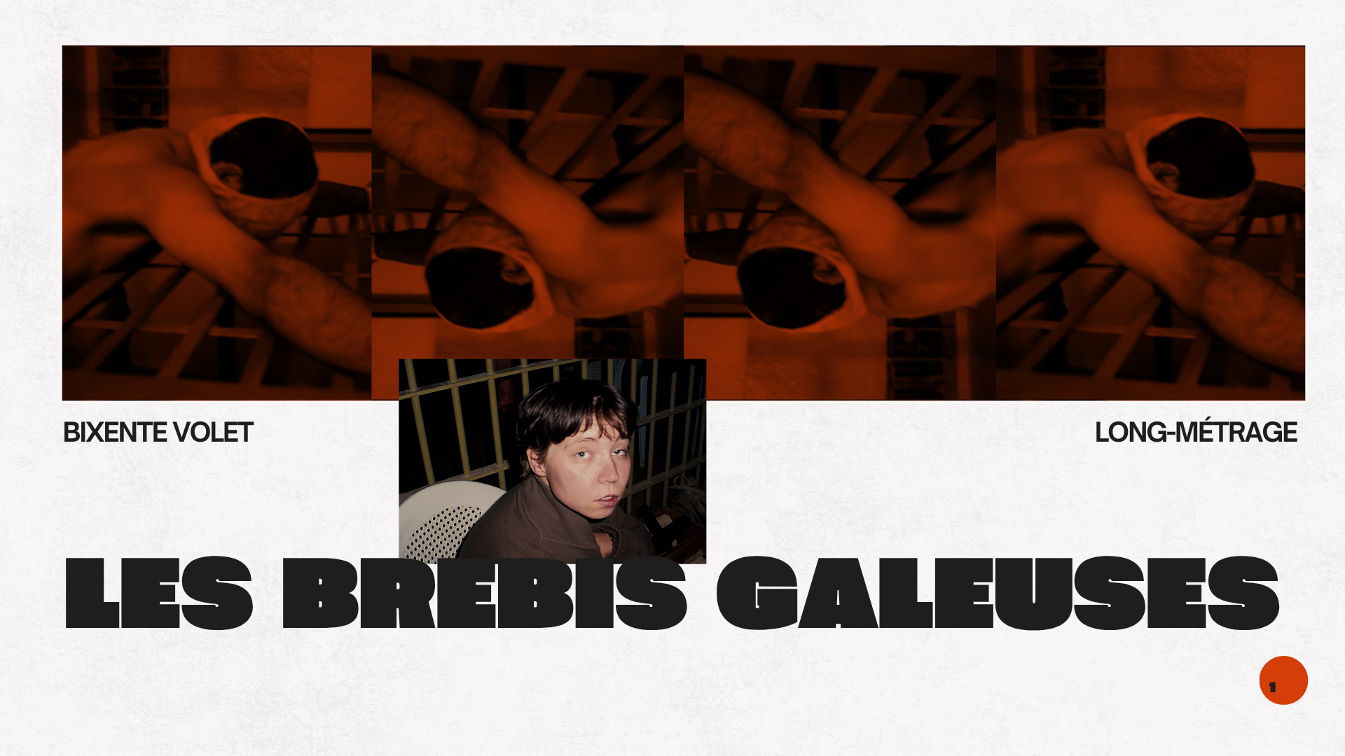 Les Brebis Galeuses